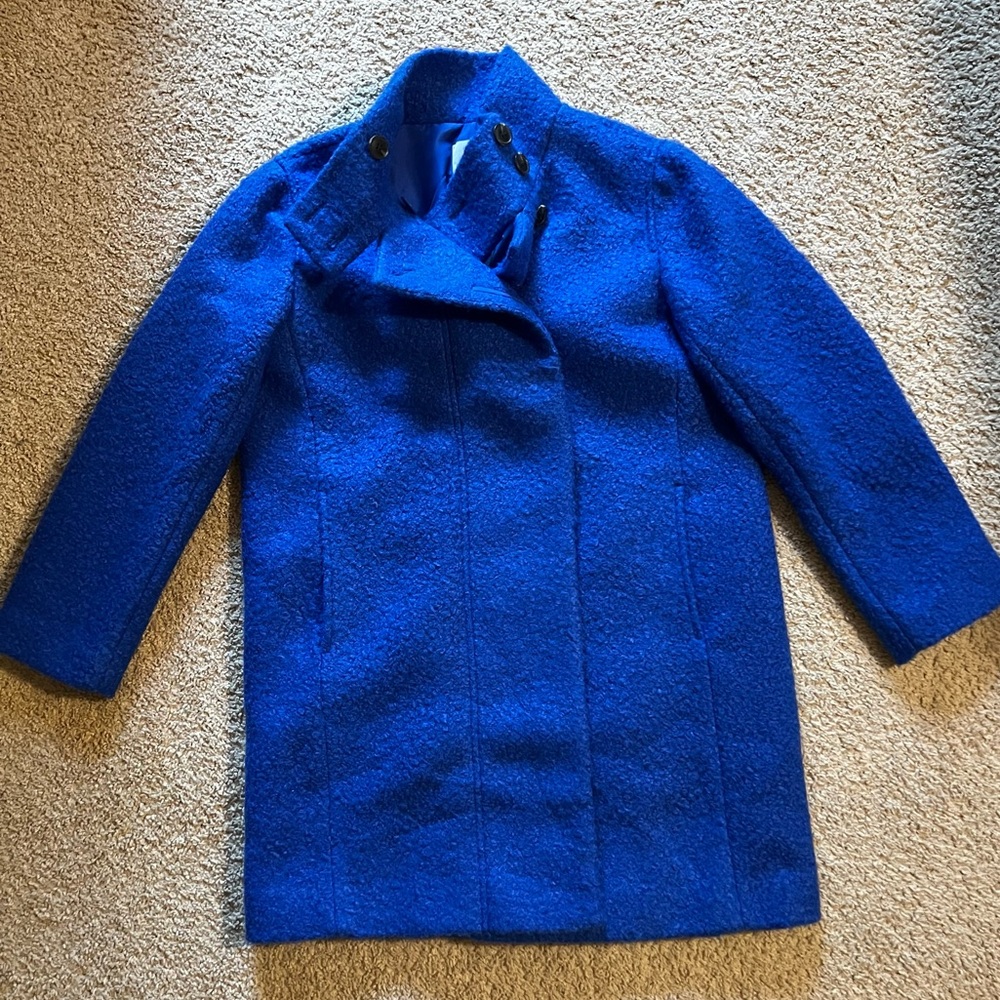 LOFT Royal Blue Teddy Jacket - Picture 12 of 15
